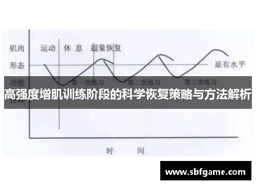 高强度增肌训练阶段的科学恢复策略与方法解析