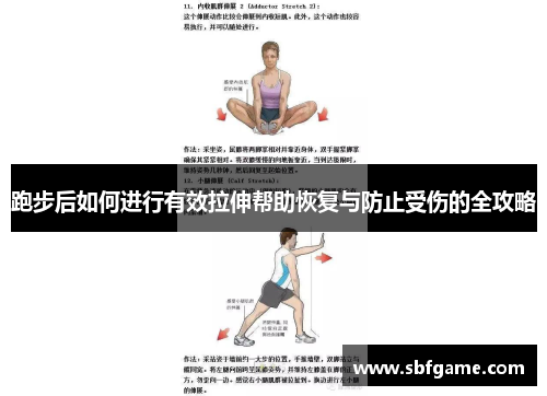 跑步后如何进行有效拉伸帮助恢复与防止受伤的全攻略