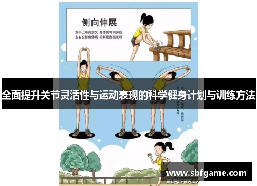 全面提升关节灵活性与运动表现的科学健身计划与训练方法