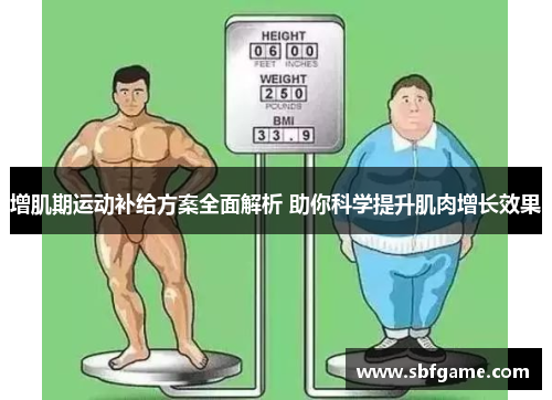 增肌期运动补给方案全面解析 助你科学提升肌肉增长效果